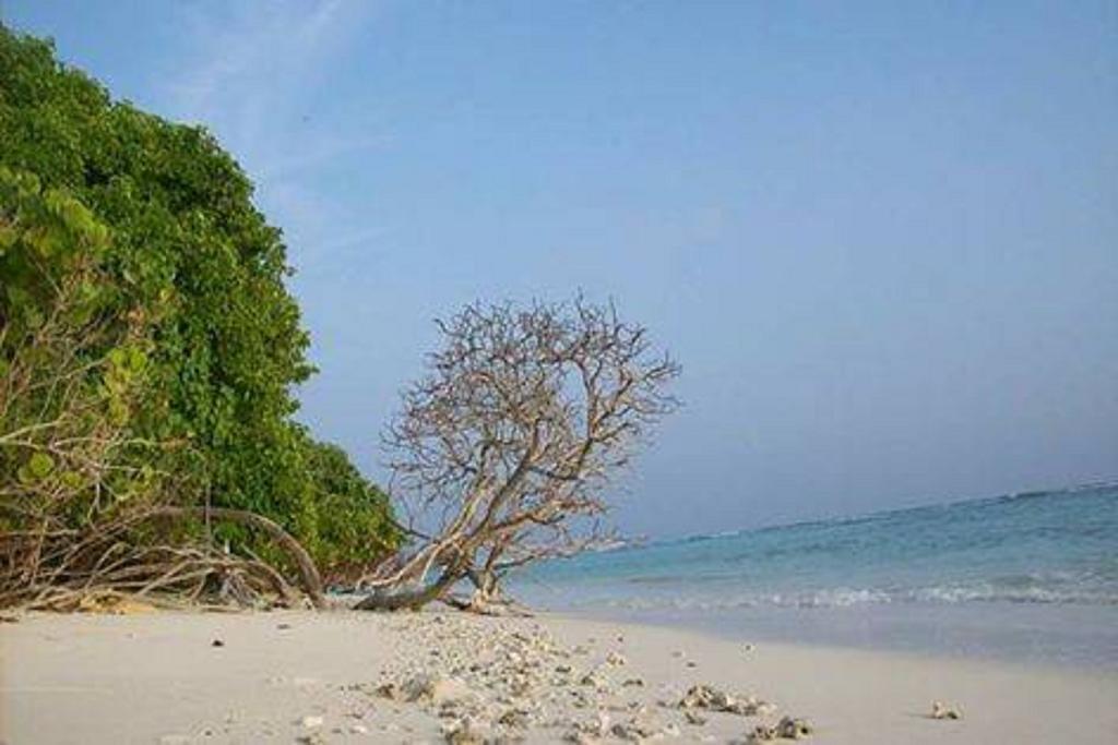 Madi Finolhu Guest House Dharavandhoo Exterior photo
