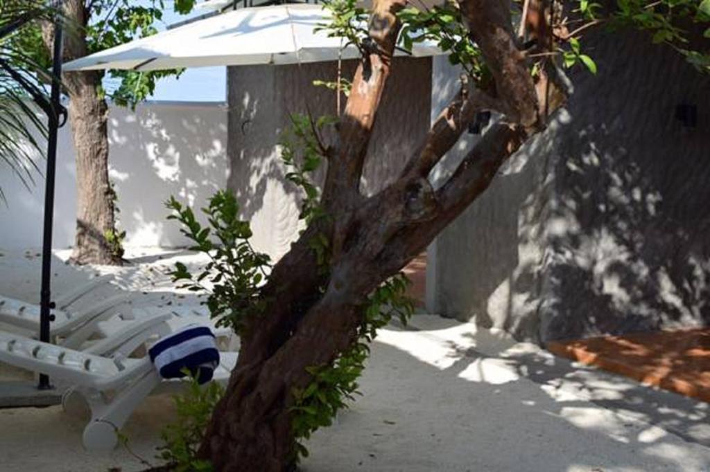 Madi Finolhu Guest House Dharavandhoo Exterior photo